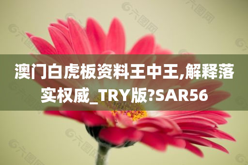 澳门白虎板资料王中王,解释落实权威_TRY版?SAR56