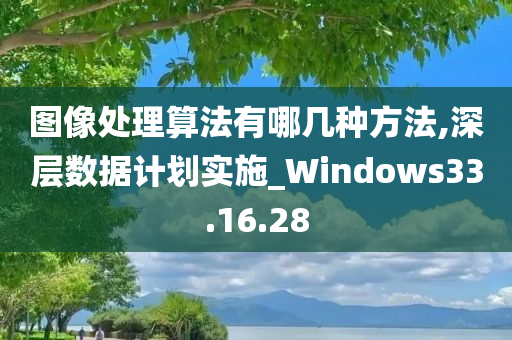 图像处理算法有哪几种方法,深层数据计划实施_Windows33.16.28