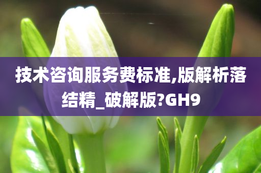 技术咨询服务费标准,版解析落结精_破解版?GH9