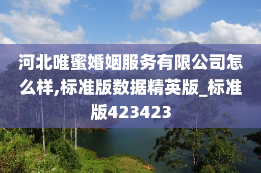 河北唯蜜婚姻服务有限公司怎么样,标准版数据精英版_标准版423423