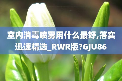 室内消毒喷雾用什么最好,落实迅速精选_RWR版?GJU86