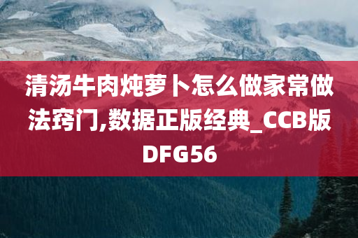 清汤牛肉炖萝卜怎么做家常做法窍门,数据正版经典_CCB版DFG56