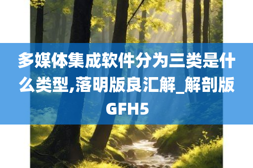 多媒体集成软件分为三类是什么类型,落明版良汇解_解剖版GFH5