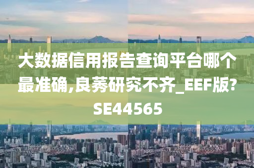 大数据信用报告查询平台哪个最准确,良莠研究不齐_EEF版?SE44565