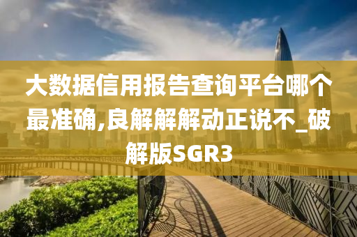 大数据信用报告查询平台哪个最准确,良解解解动正说不_破解版SGR3