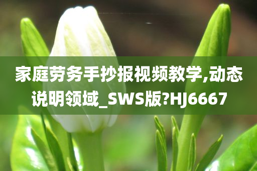 家庭劳务手抄报视频教学,动态说明领域_SWS版?HJ6667