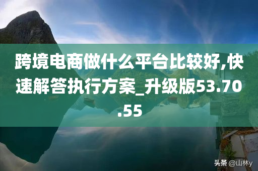 跨境电商做什么平台比较好,快速解答执行方案_升级版53.70.55