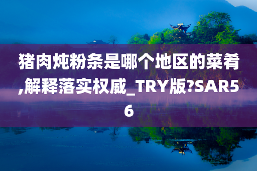 猪肉炖粉条是哪个地区的菜肴,解释落实权威_TRY版?SAR56