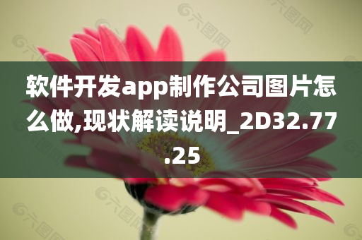 软件开发app制作公司图片怎么做,现状解读说明_2D32.77.25