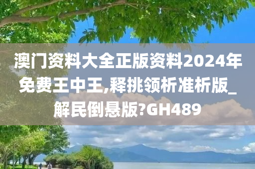 澳门资料大全正版资料2024年免费王中王,释挑领析准析版_解民倒悬版?GH489