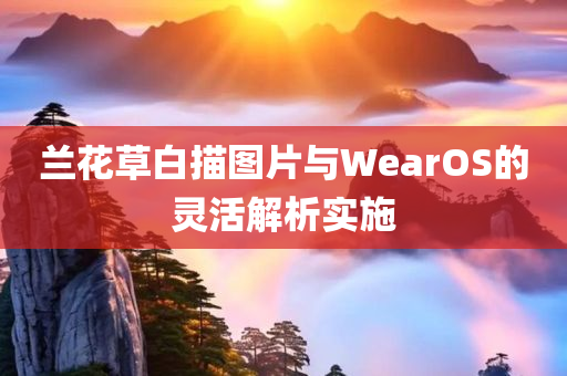 兰花草白描图片与WearOS的灵活解析实施