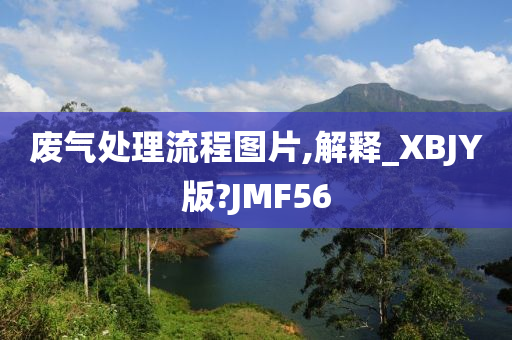 废气处理流程图片,解释_XBJY版?JMF56