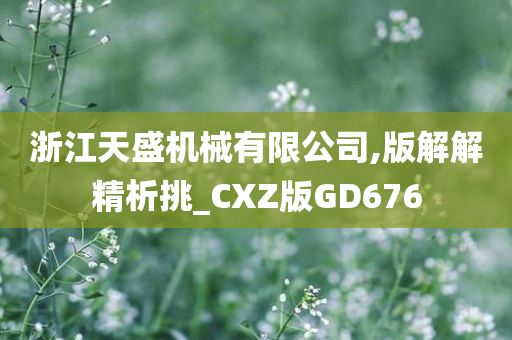 浙江天盛机械有限公司,版解解精析挑_CXZ版GD676