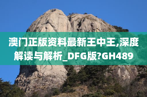 澳门正版资料最新王中王,深度解读与解析_DFG版?GH489