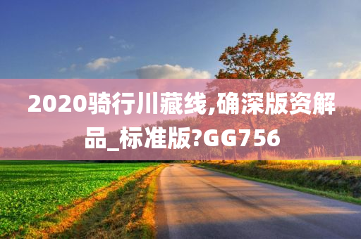 2020骑行川藏线,确深版资解品_标准版?GG756