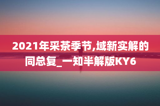 2021年采茶季节,域新实解的同总复_一知半解版KY6