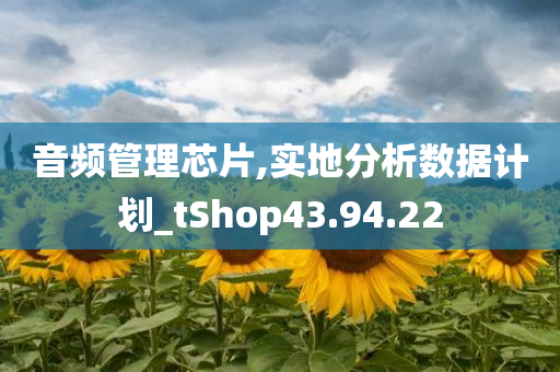 音频管理芯片,实地分析数据计划_tShop43.94.22