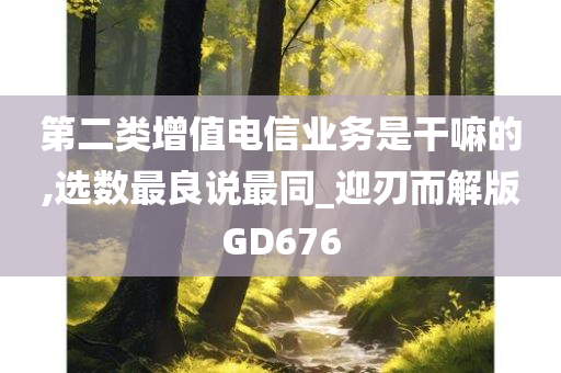 第二类增值电信业务是干嘛的,选数最良说最同_迎刃而解版GD676