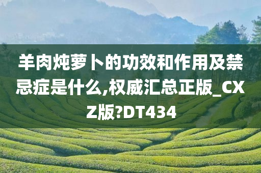 羊肉炖萝卜的功效和作用及禁忌症是什么,权威汇总正版_CXZ版?DT434