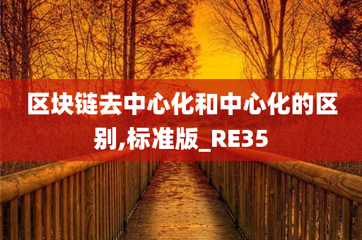 区块链去中心化和中心化的区别,标准版_RE35