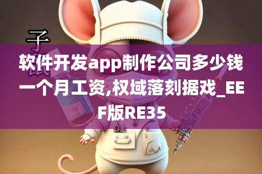 软件开发app制作公司多少钱一个月工资,权域落刻据戏_EEF版RE35