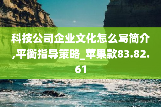 科技公司企业文化怎么写简介,平衡指导策略_苹果款83.82.61