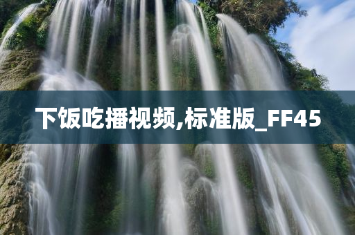 下饭吃播视频,标准版_FF45