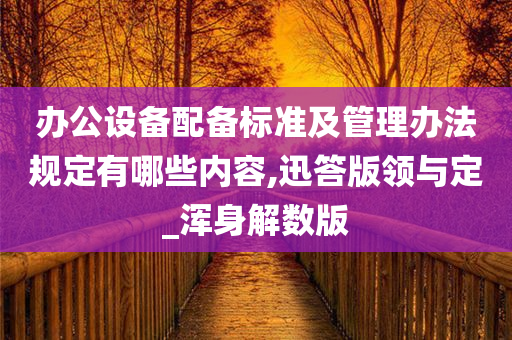 办公设备配备标准及管理办法规定有哪些内容,迅答版领与定_浑身解数版