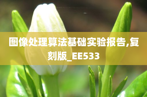 图像处理算法基础实验报告,复刻版_EE533