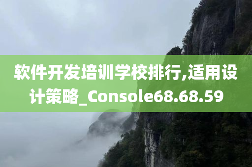 软件开发培训学校排行,适用设计策略_Console68.68.59