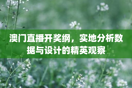 澳门直播开奖纲，实地分析数据与设计的精英观察