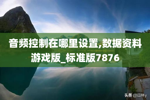 音频控制在哪里设置,数据资料游戏版_标准版7876