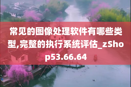 常见的图像处理软件有哪些类型,完整的执行系统评估_zShop53.66.64