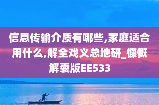 信息传输介质有哪些,家庭适合用什么,解全戏义总地研_慷慨解囊版EE533