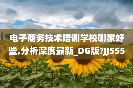 电子商务技术培训学校哪家好些,分析深度最新_DG版?JJ555