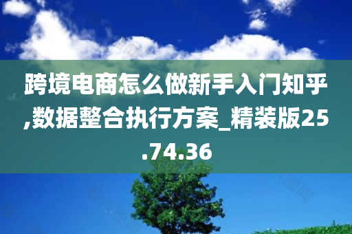 跨境电商怎么做新手入门知乎,数据整合执行方案_精装版25.74.36