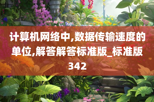 计算机网络中,数据传输速度的单位,解答解答标准版_标准版342