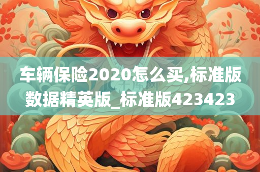 车辆保险2020怎么买,标准版数据精英版_标准版423423