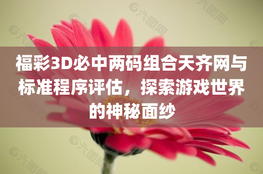 福彩3D必中两码组合天齐网与标准程序评估，探索游戏世界的神秘面纱