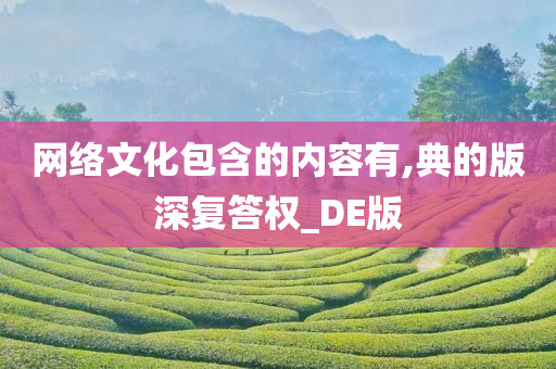 网络文化包含的内容有,典的版深复答权_DE版