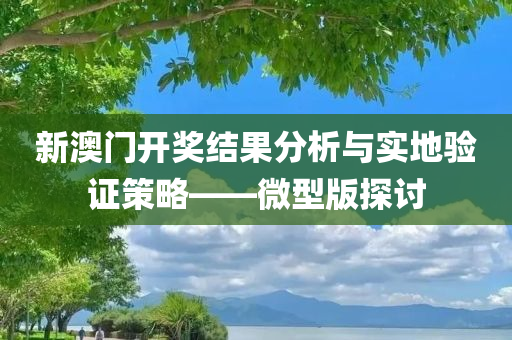 新澳门开奖结果分析与实地验证策略——微型版探讨