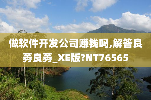 做软件开发公司赚钱吗,解答良莠良莠_XE版?NT76565