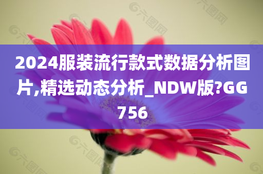 2024服装流行款式数据分析图片,精选动态分析_NDW版?GG756