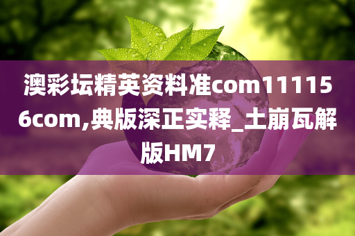 澳彩坛精英资料准com111156com,典版深正实释_土崩瓦解版HM7