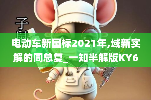 电动车新国标2021年,域新实解的同总复_一知半解版KY6