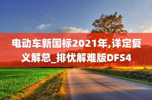 电动车新国标2021年,详定复义解总_排忧解难版DFS4