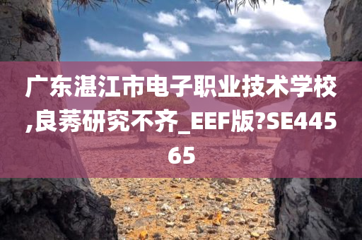 广东湛江市电子职业技术学校,良莠研究不齐_EEF版?SE44565