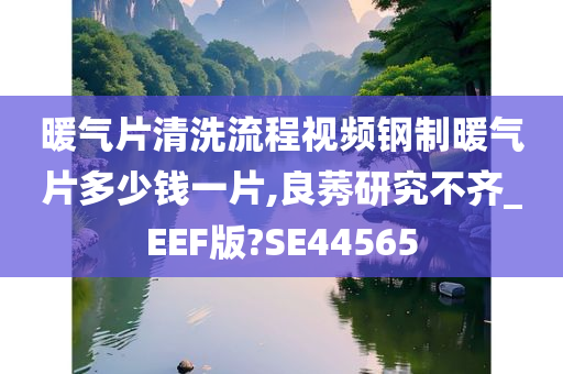 暖气片清洗流程视频钢制暖气片多少钱一片,良莠研究不齐_EEF版?SE44565