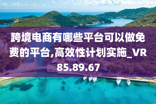 跨境电商有哪些平台可以做免费的平台,高效性计划实施_VR85.89.67