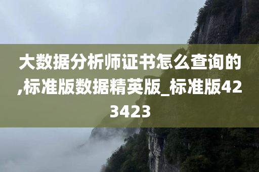 大数据分析师证书怎么查询的,标准版数据精英版_标准版423423